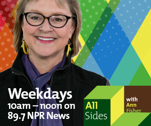 Ann Fisher on Central Ohio’s National Public Radio affiliate, WOSU