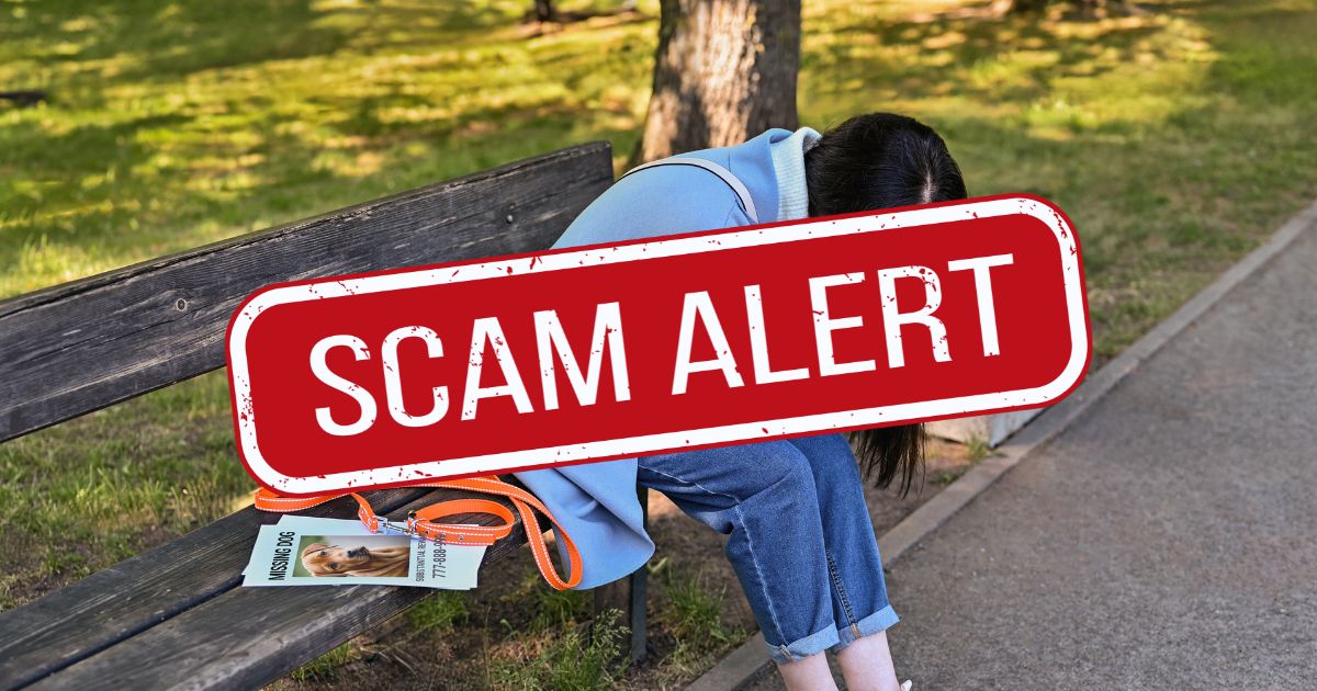 The words Scam Alert are superimposed on a photo of a woman sitting on a park bench with a stack of lost pet flyers.