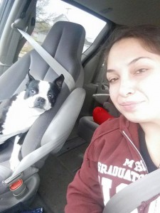 Lost dog recovered