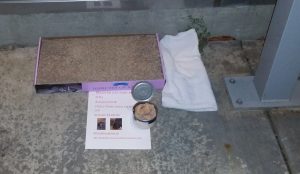 Items to lure a cat back